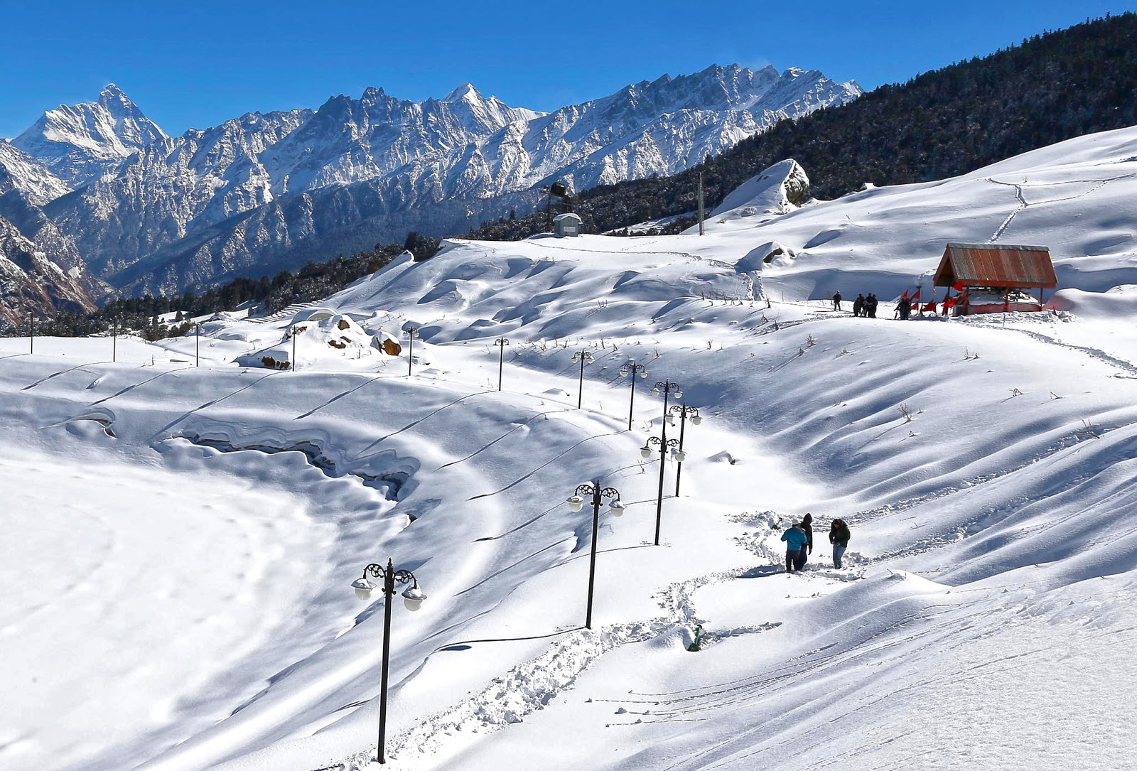 Chopta Tour Package