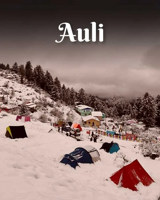 Tour Package for Auli
