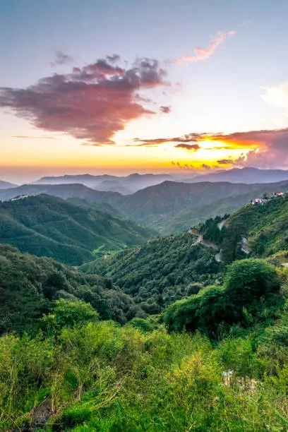 Tour Operator in Dehradun