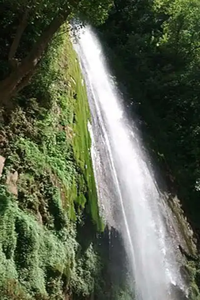 Tour Operator in Dehradun