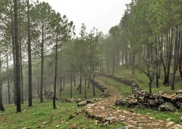 Jim Corbett jungle safari Nainidanda