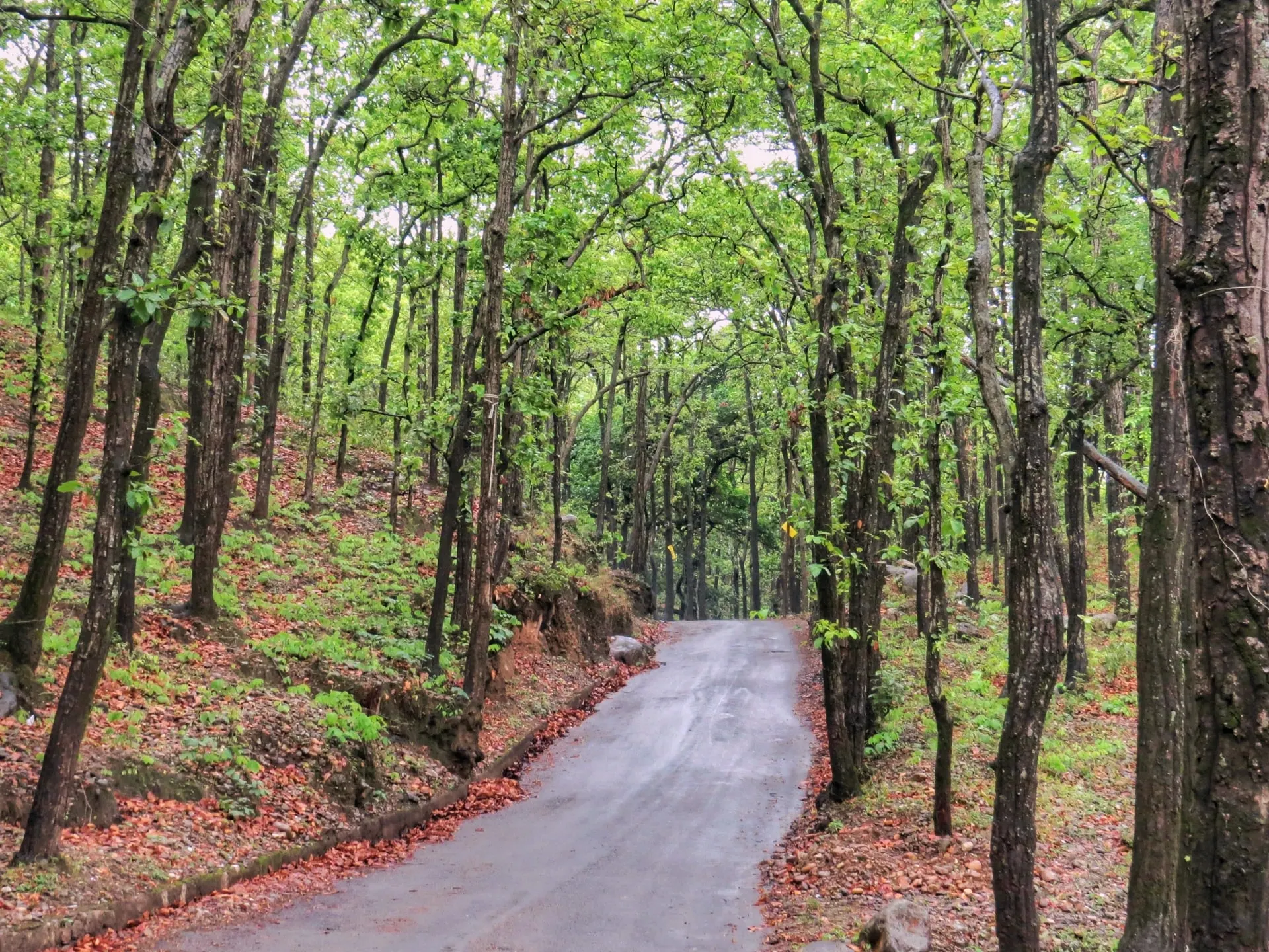 ranikhet-travel-packages-manila