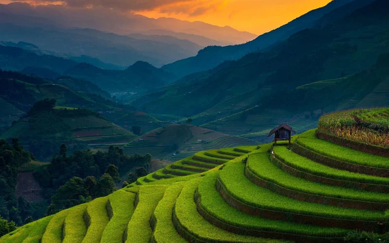 ranikhet-travel-packages