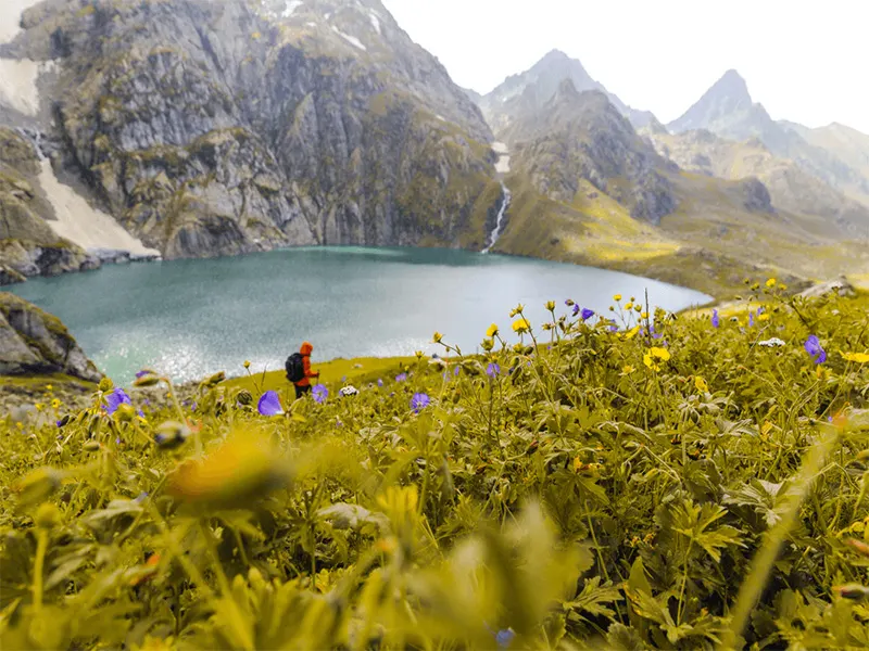 valley3-of-flowers-trek-package